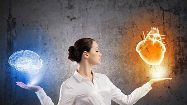 Как научиться мыслить стратегически? Все мы стратеги, хотим того или нет. И лучше быть хорошим ...