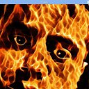 ���� ������, ������������, 35 ��� - ��������� 14 ������� 2018 � ������ ���� ����������