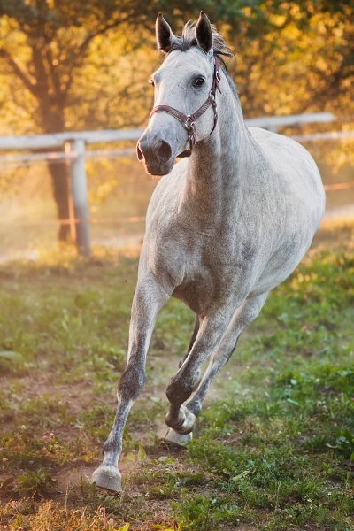  -   ! - 23  2018  16:26