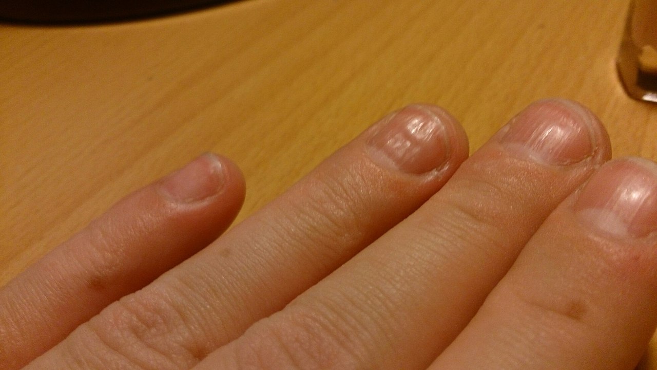 #@modnailru.,   , ,   ,   ... - 2