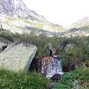  , , 46  -  20  2018     "" ( 2018)