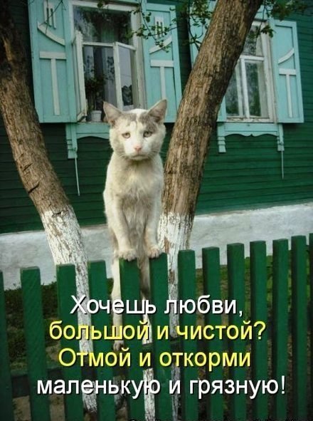 ����� �o��ee