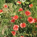 ���� ������, ������ - ��������� 2 ����� 2019 � ������ ���� ����������