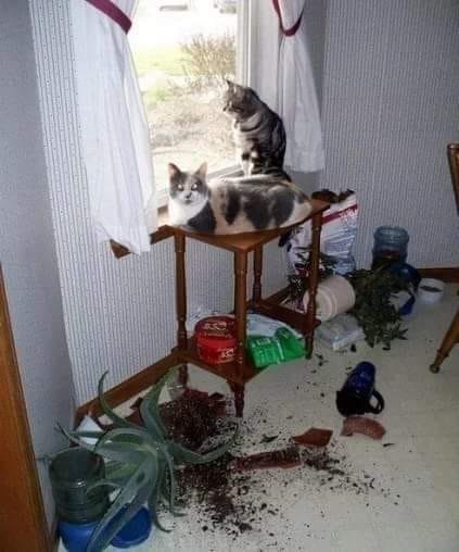    ... ,       