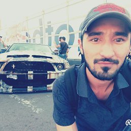 Shera, ������, 31 ���