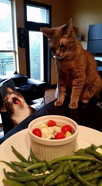 -  ... - ׸ !