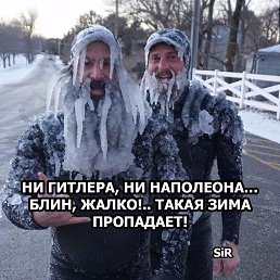 �������, �����, 39 ���