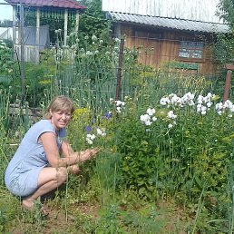 �����, ���������� �����, 51 ���