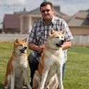 ���� ������, ������, 52 ���� - ��������� 24 ������� 2018