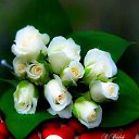 ���� Ahmed, ������, 49 ��� - ��������� 24 ������� 2018 � ������ ���� ����������