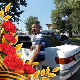 �������, ��������, 71 ���