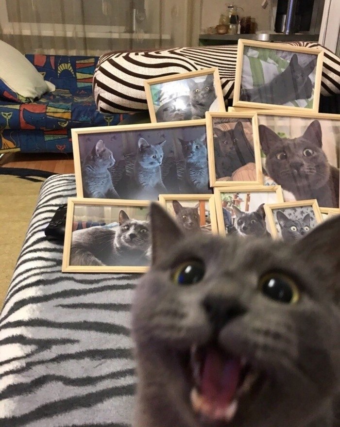   . .