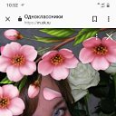 ���� �������, ������, 54 ���� - ��������� 9 ������� 2019 � ������ ���� ����������