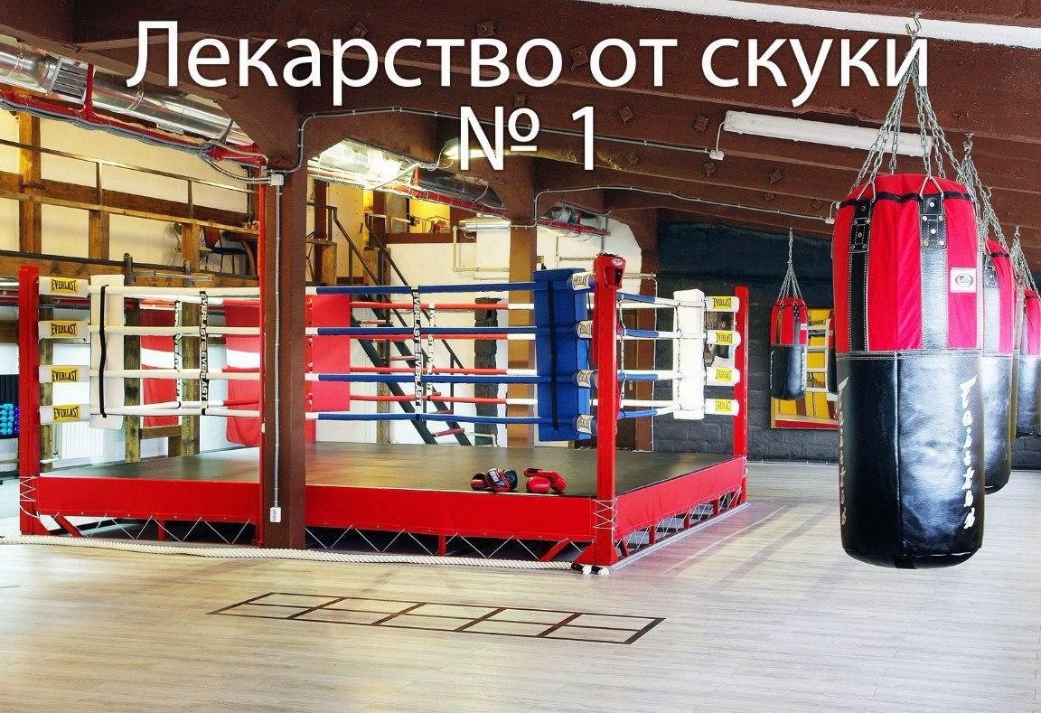 SportFeed - 25  2019  17:14