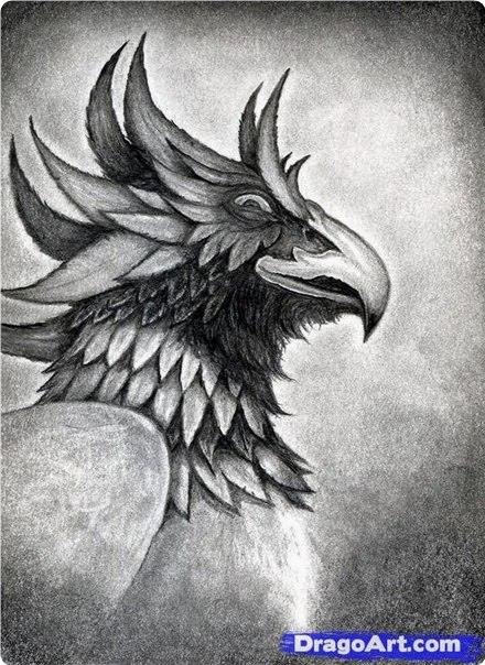 Pe oo poa po apaaa. - 9