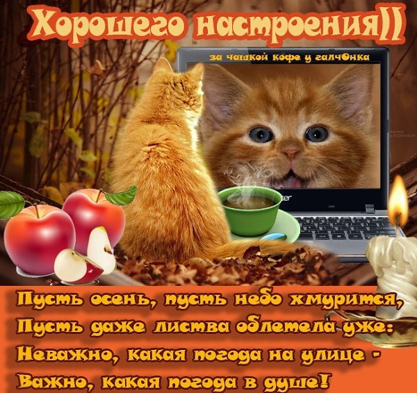    ,    ...    ,   ...