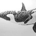  Alexej, , 53  -  4  2019    