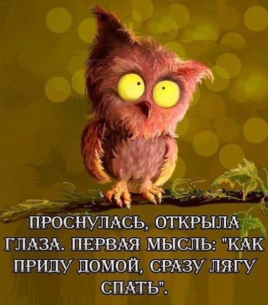   - 8  2018  16:50