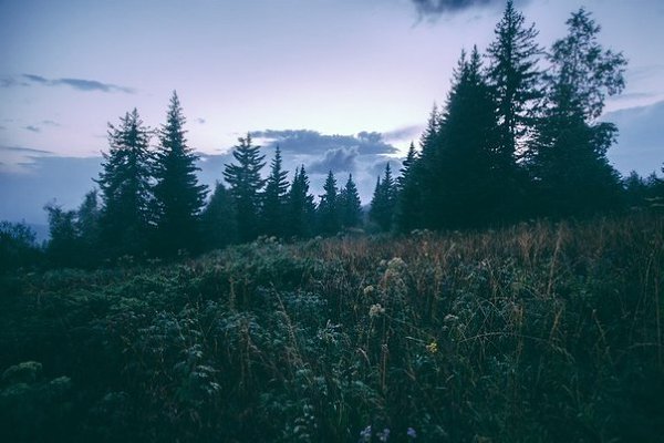 Учёные пришли к выводу, что природа Урала лучшее место чтобы подумать о том, куда катится ваша ... - 2