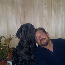 ���� �������, ��������, 47 ��� - ��������� 19 ������� 2019