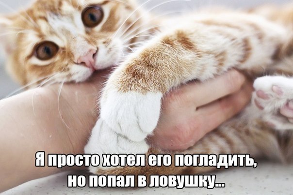    - 20  2018  16:49