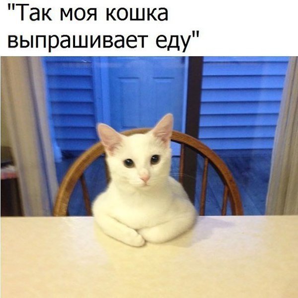    - 14  2019  16:47