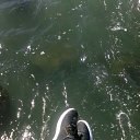 ���� �����, ����, 44 ���� - ��������� 22 ���� 2018