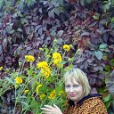 ���� �����, ������������, 54 ���� - ��������� 15 �������� 2018 � ������ ���������� ������