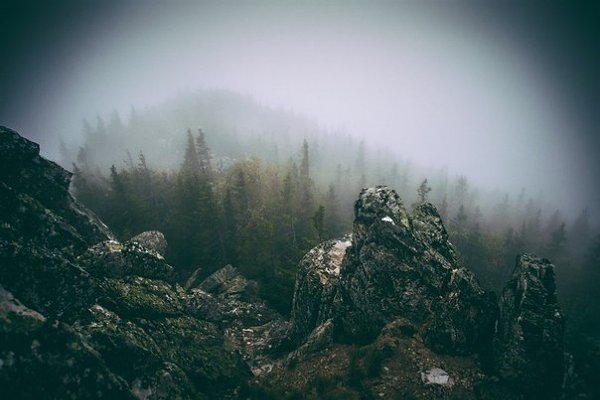 Учёные пришли к выводу, что природа Урала лучшее место чтобы подумать о том, куда катится ваша ... - 4