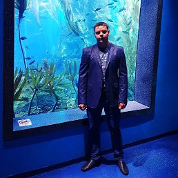 �����, �����������, 39 ���