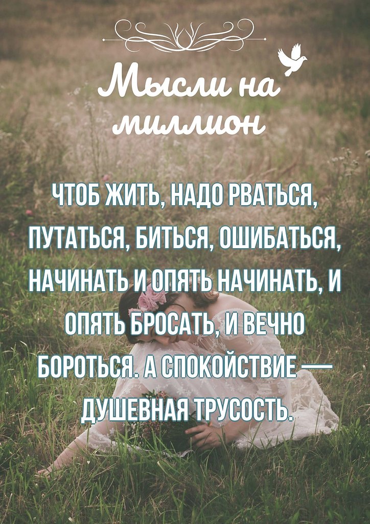    - 2  2019  16:50