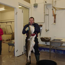 ������, �����-���������, 64 ����