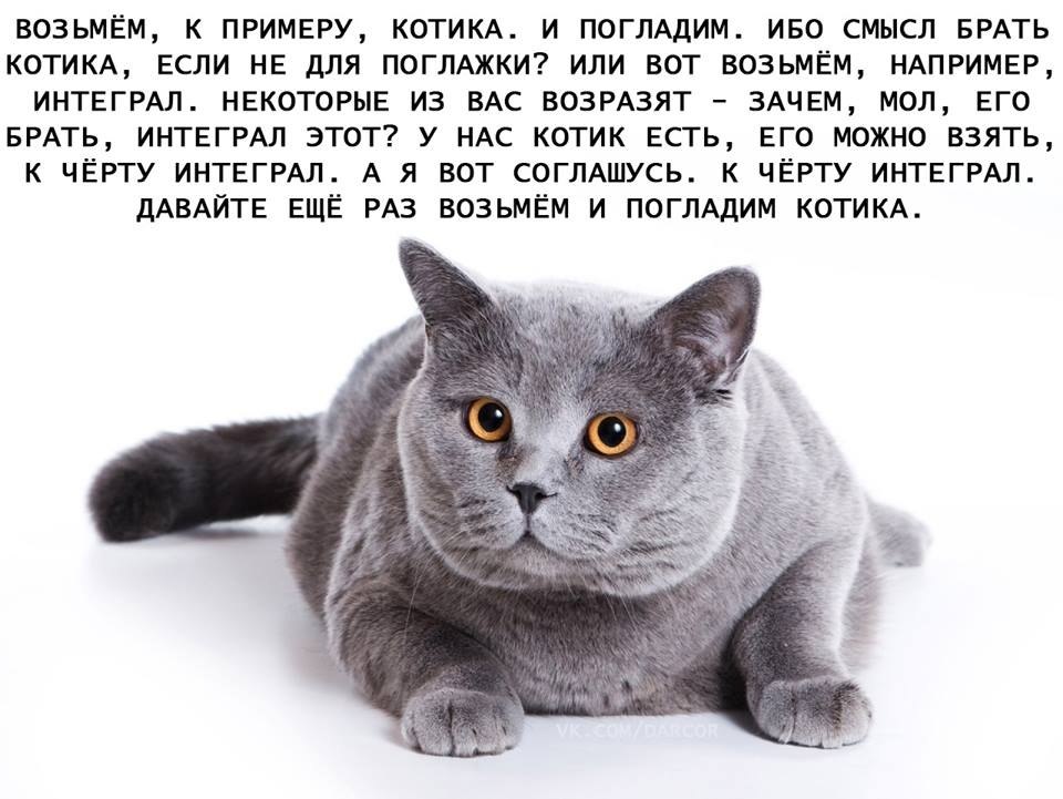   - 5  2019  14:29