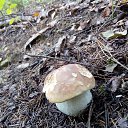 ���� �������, ������������ - ��������� 28 ������ 2018 � ������ �������