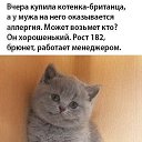���� �������, ����������, 66 ��� - ��������� 20 ������� 2019 � ������ ���� ����������