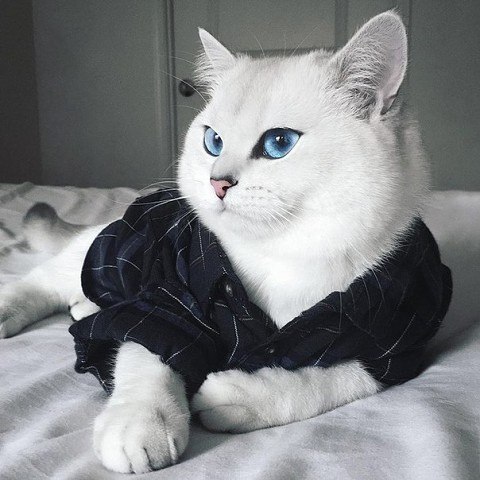        . - 6