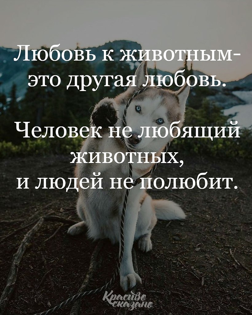   . . . - 1  2018  16:31