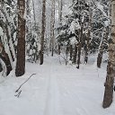 ���� Mihail, ��������-15, 63 ���� - ��������� 12 ������ 2019