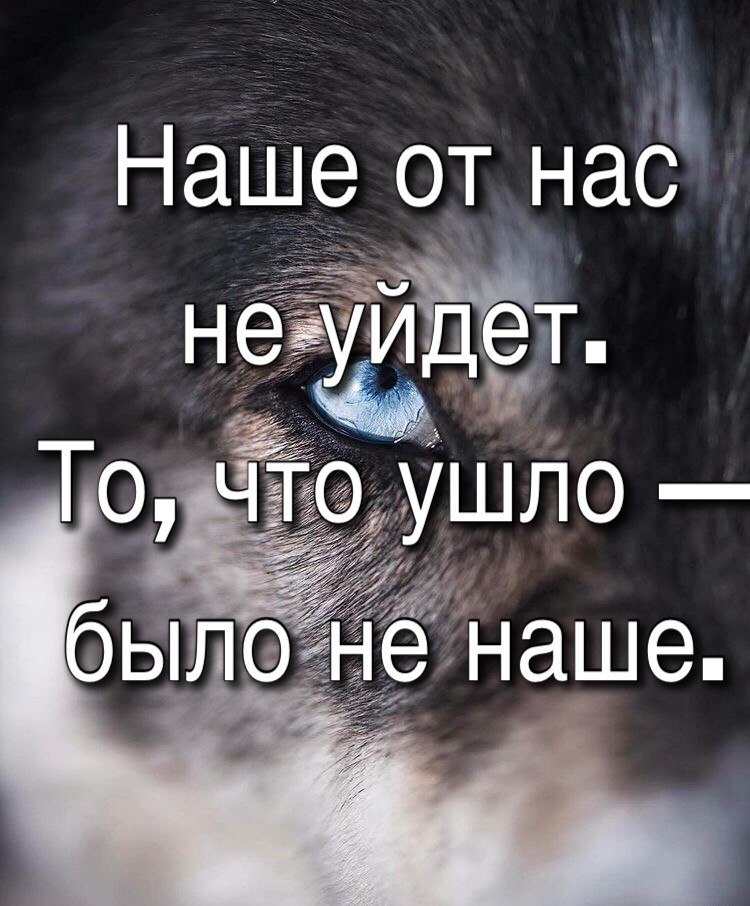  - 17  2018  13:04
