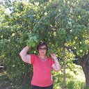 ���� �� ���� �� ������� ���� ����������