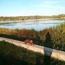  Elena, , 71  -  31  2018    