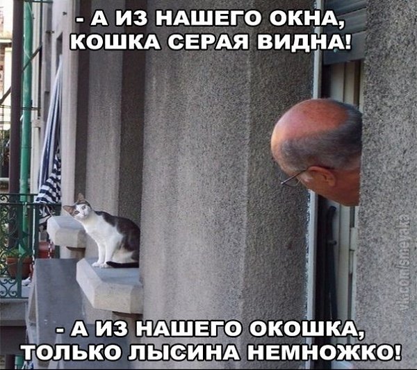    - 14  2019  16:47