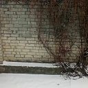 ���� ������, ����, 49 ��� - ��������� 14 ������ 2018 � ������ �����