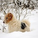 ���� ����, �������, 59 ��� - ��������� 9 ������ 2019 � ������ ������ ��������