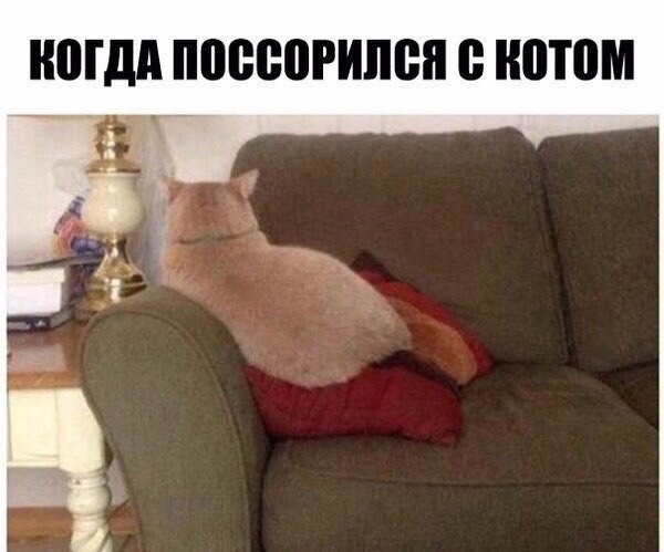    - 6  2018  17:15