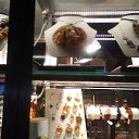 ���� Natalina, ��������, 57 ��� - ��������� 30 ������� 2018 � ������ �������� ����� � �������