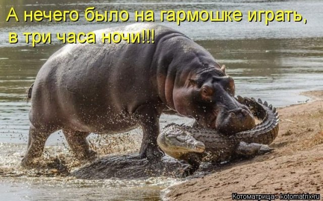 ***Victoria Viktorovna*** - 10  2018  04:50
