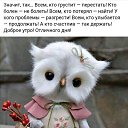 ���� ����, �������, 47 ��� - ��������� 2 �������� 2018 � ������ ���� ����������