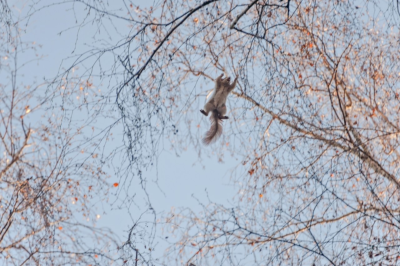    ). _