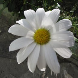 ���� ���������, �����������, 67 ��� - ��������� 3 ������ 2019